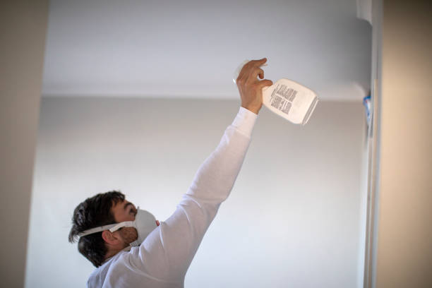 Best Attic Mold Removal  in Bethlehem, NC