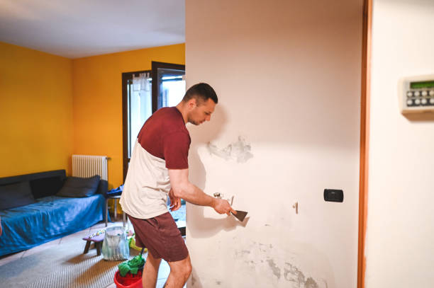 Best Residential Mold Removal  in Bethlehem, NC